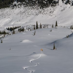 Luftaufnahme eines Skigebiets mit Skifahrern auf verschneiter Piste und Nadelwäldern