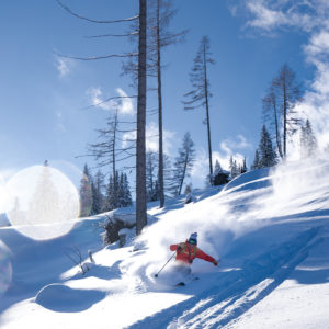 Skifahrer in roter Jacke fährt durch tiefverschneite Berglandschaft mit kahlen Bäumen